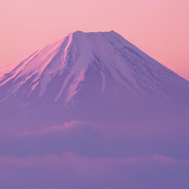 二叉树的博客